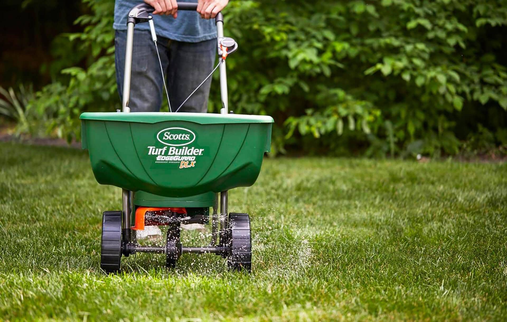 Best Strategies for Growing Grass Seed in the Spring